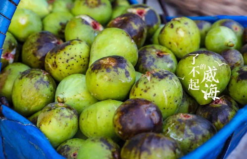 嗨途原产地直供9月新品 国家地理标志特产 威海无花果,最甜的秋果上市