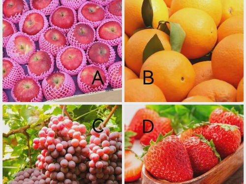 心理测试 四种水果,你会选择哪种,测你本命年会遇上真爱吗